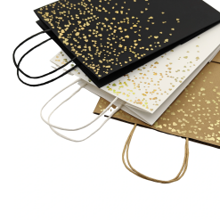 Sacs en papier écologiques de luxe