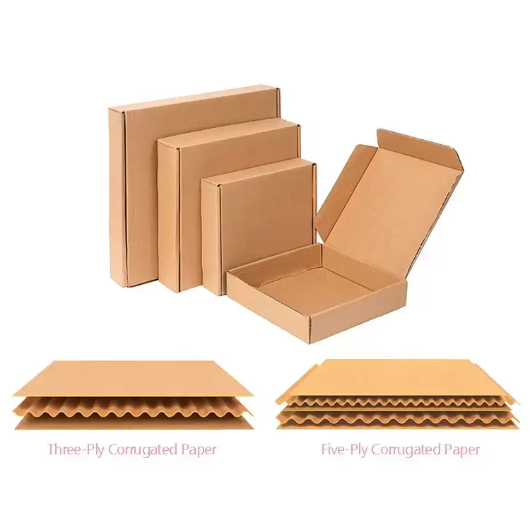  Boîtes d'expédition personnalisées 