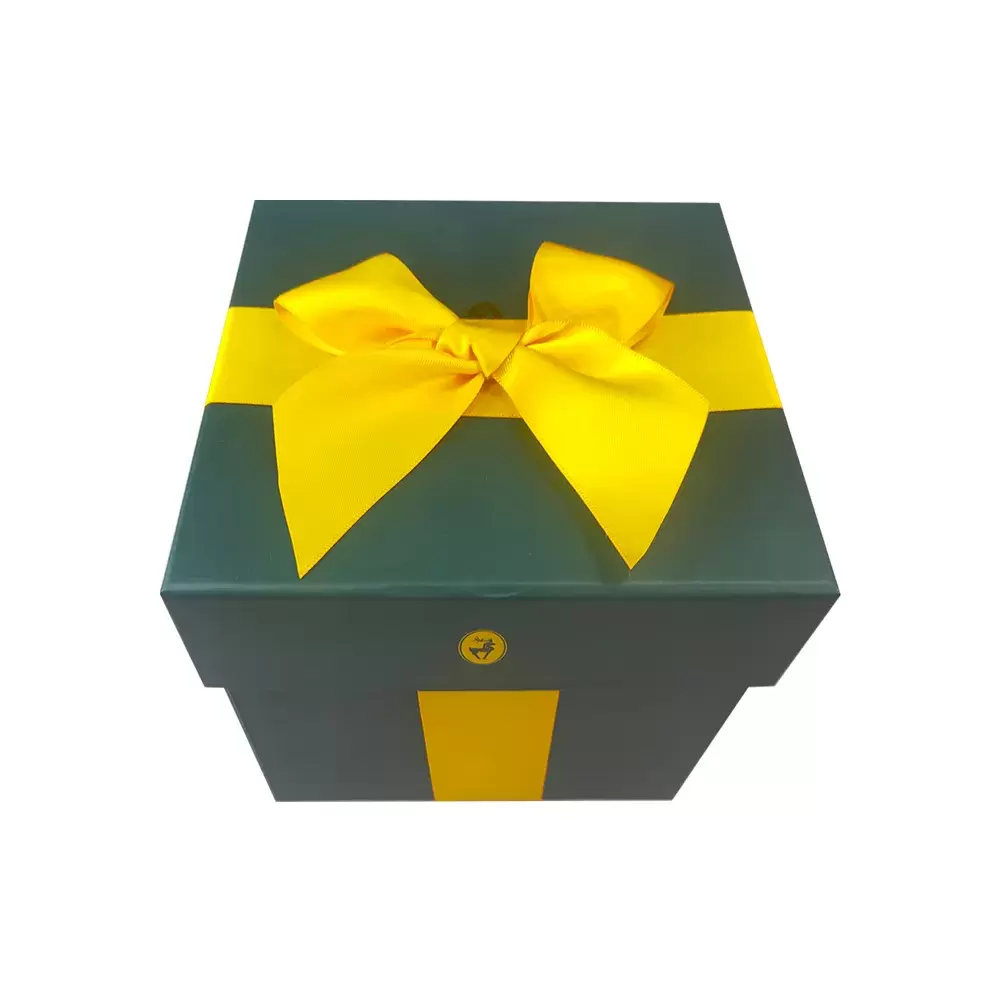  Coffret cadeau couvercle et base 