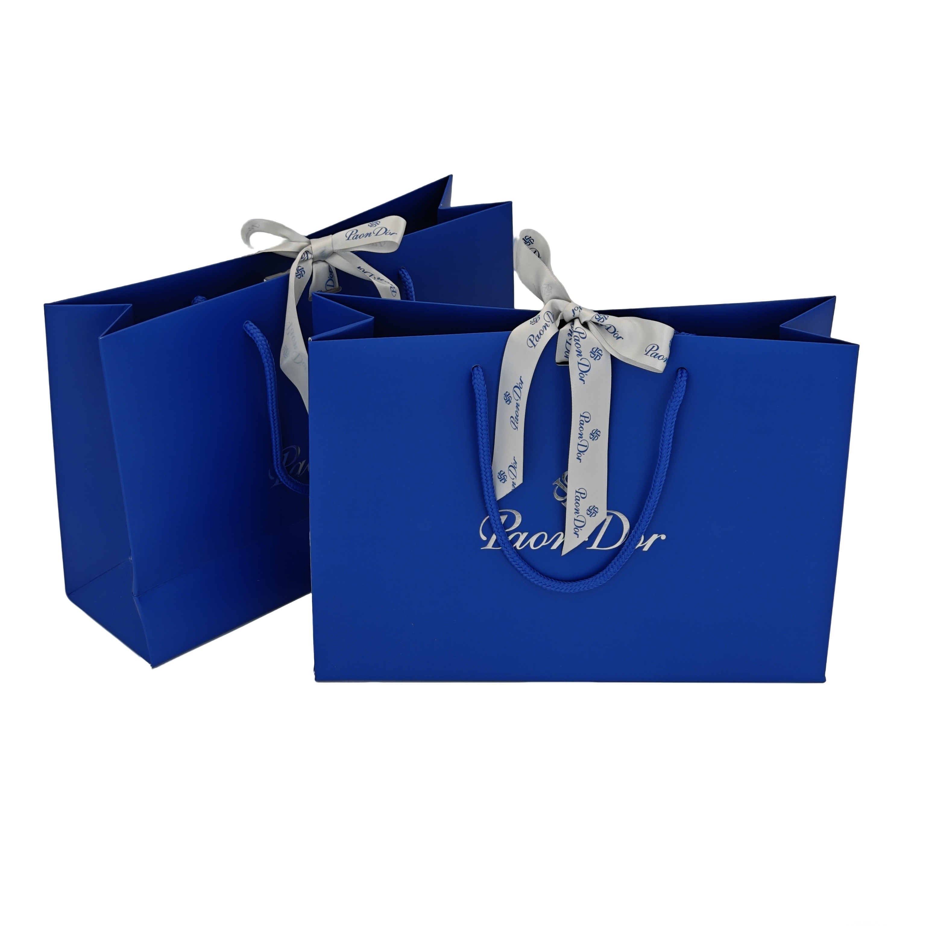  Sacs cadeaux de luxe 