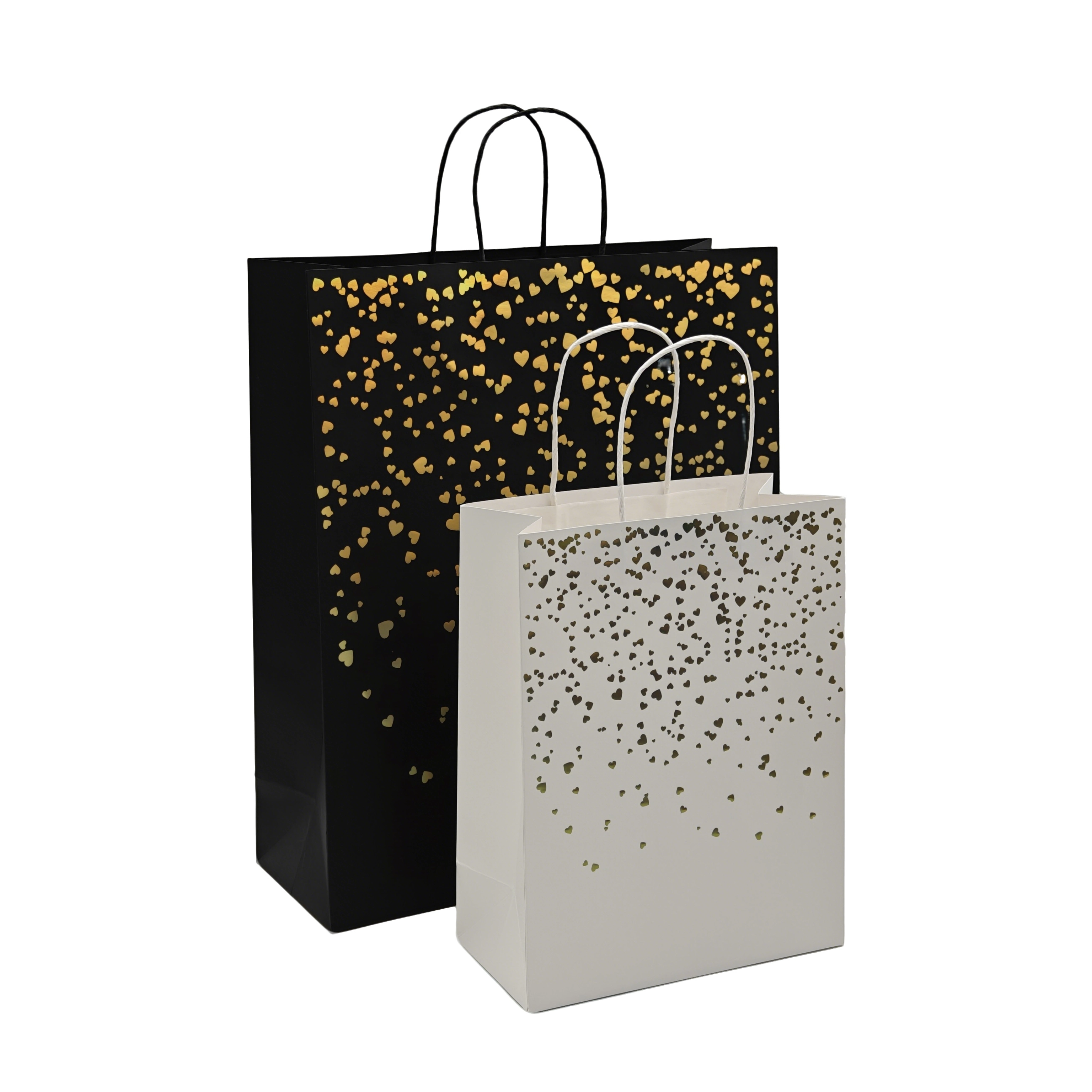  Sacs en papier kraft 