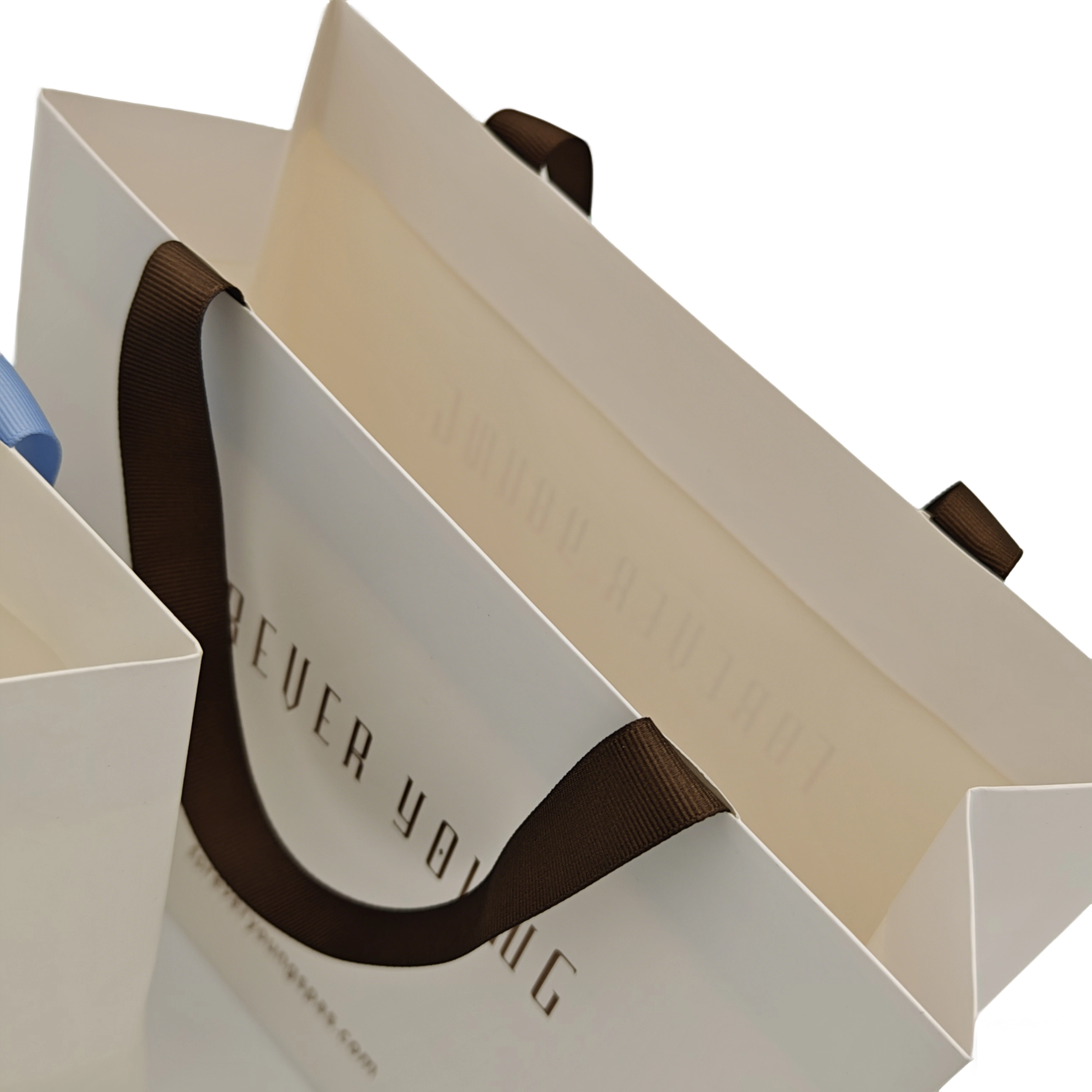  Sacs en papier pour le shopping 